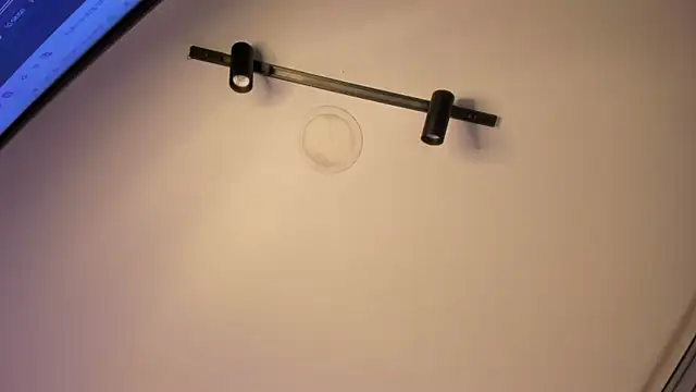 ANTONELLA__ROUSE_ webcam