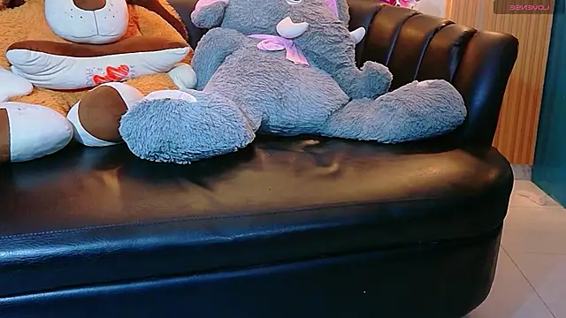 Evans_Robinson webcam