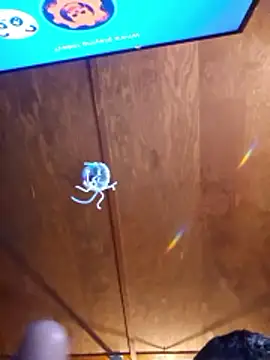 UncutHammer69 webcam