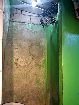 ToiletPlayBarbieDoll webcam