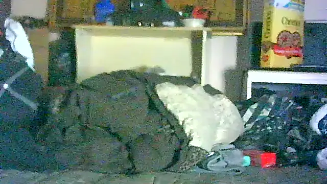 GUAPAN3S3_FIR3 webcam