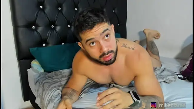 mikeblaree webcam