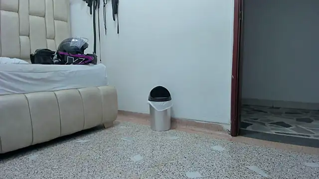 DanteRoyale_os webcam