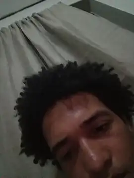 TheRiseOfDick webcam