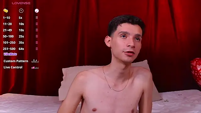 VicenteFerrer webcam