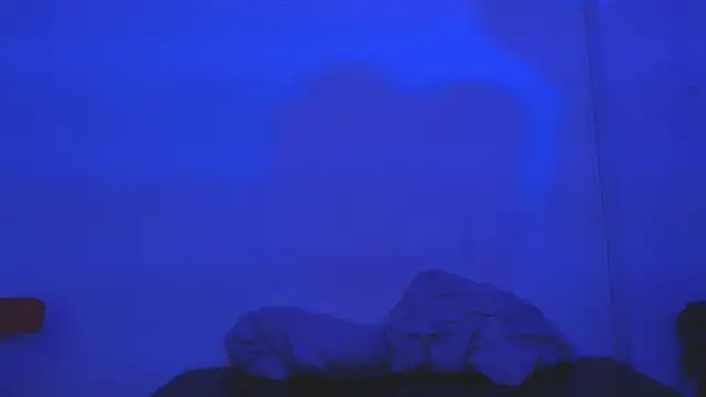 onixandghosty1 webcam