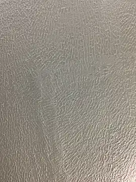 La-Gatiita-trans webcam