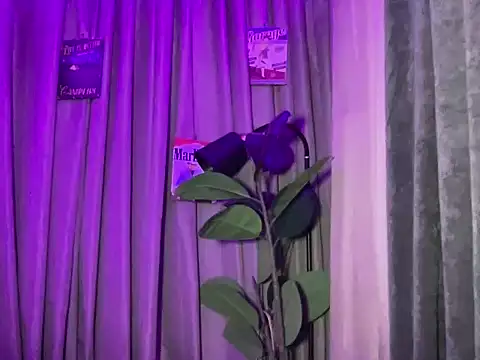 the_extinction_ofbeauty webcam