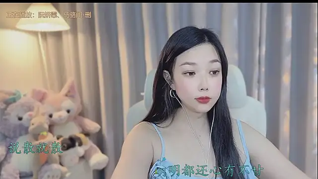 facai-feifei webcam