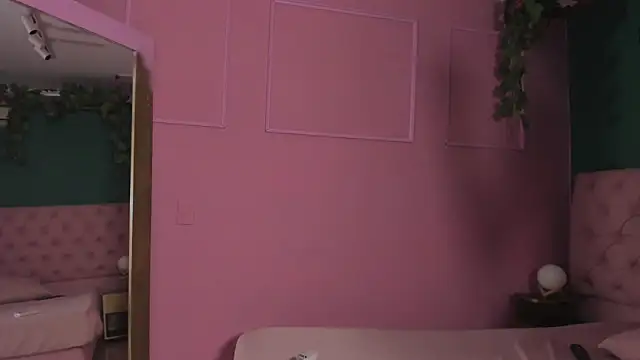 CONNOR_STONNE_ webcam