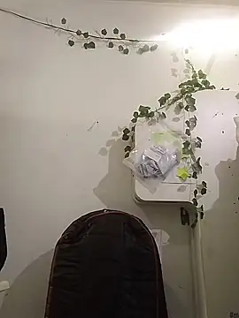 sweetadamisoffice webcam