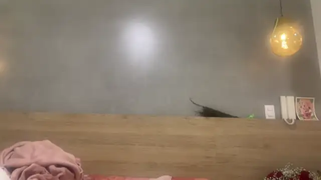 ChocolateCakeQueen webcam