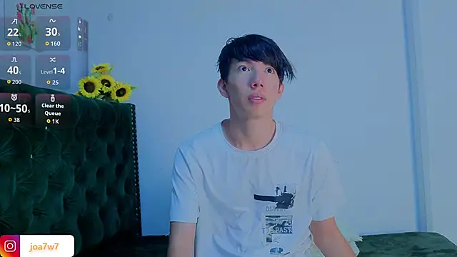 Levii_Ackermann webcam