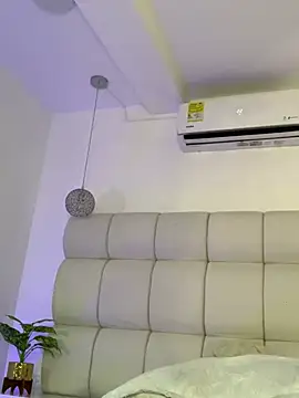 Alexa_Handler webcam