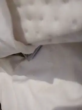 curiosidade13 - Curiosidade13's free webcam - UK Sex Cams