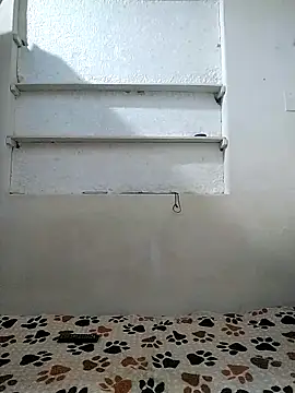 Cameron_puppy's room