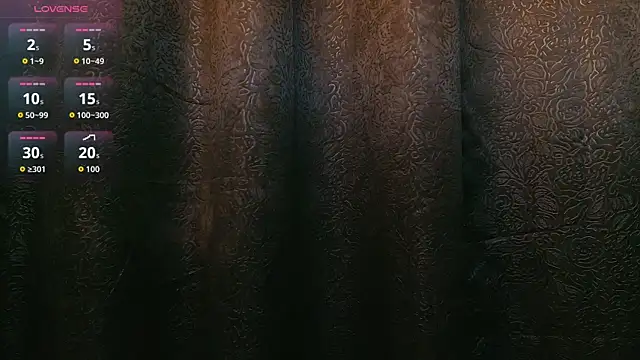 Oliver_Laurent_ webcam