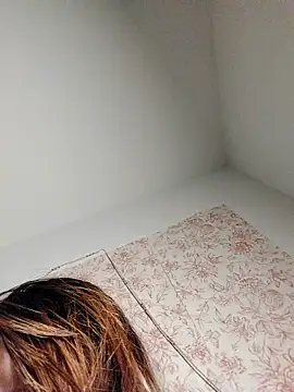 Lepimentsurpattes webcam