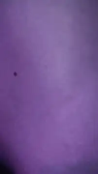 morenamysttery webcam