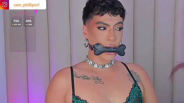 sam_phillipss webcam