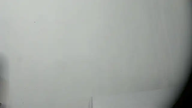 Crazy_Cat1995 webcam