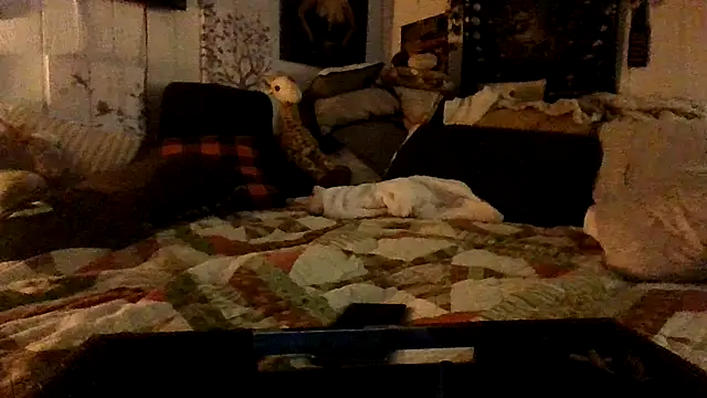 Woodywoodsup1 webcam