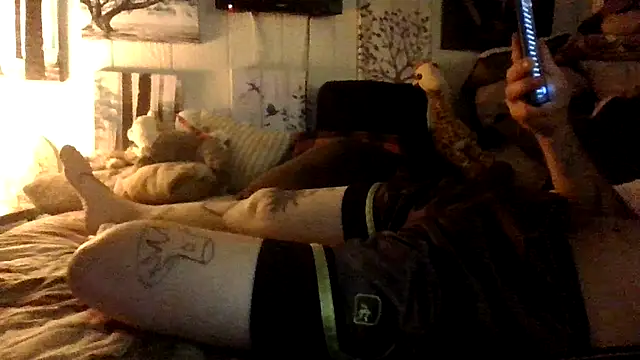 Woodywoodsup1 webcam