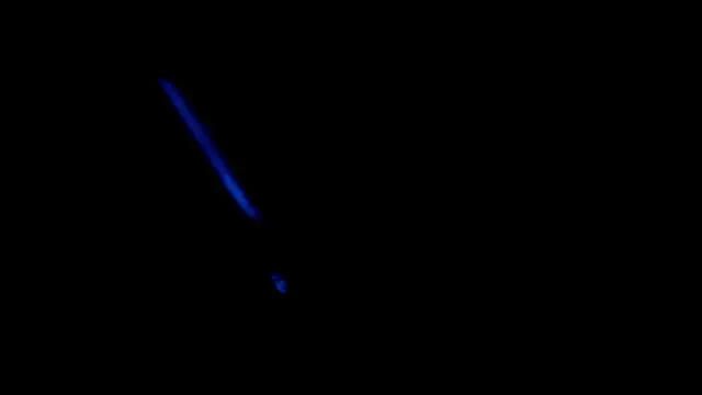 Georgina_Astor webcam