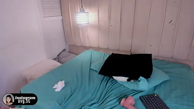 avy_st webcam
