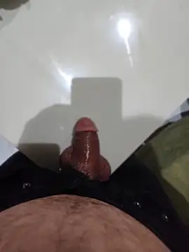 Just_for_trans webcam