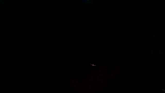 luke_thighwalker2469 webcam