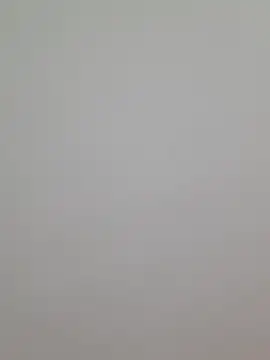 Bootyliciousbbw12 webcam