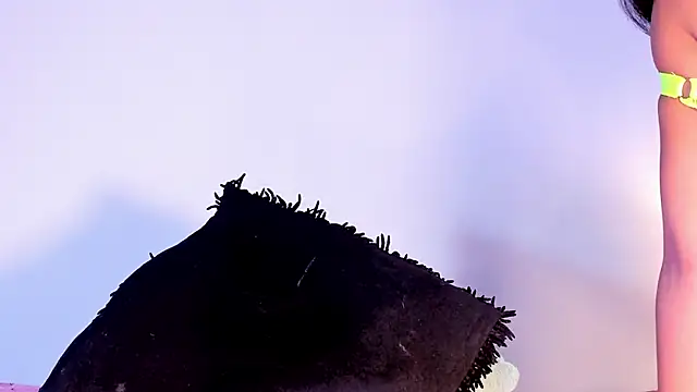 BlakmillerrGilson webcam