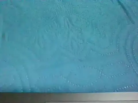 7_INCH_MONSTER webcam