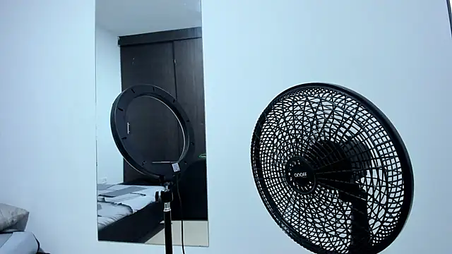 Benjamin_lich webcam