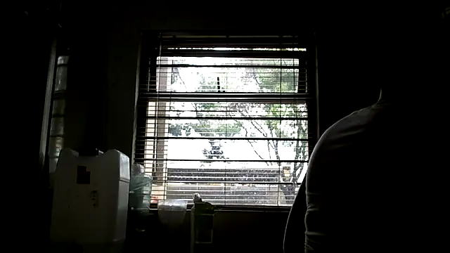 NewBeginnings8 webcam