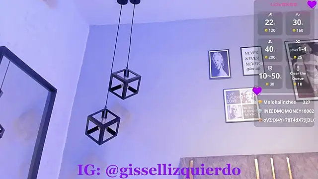 Liincostelloo webcam