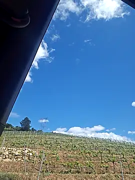 Webcam Model (Hot-Muci)  is live.Free join now!