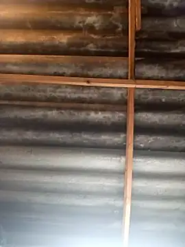 curvyloneah75 webcam