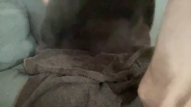 lechouilleur44 (M young) - branle