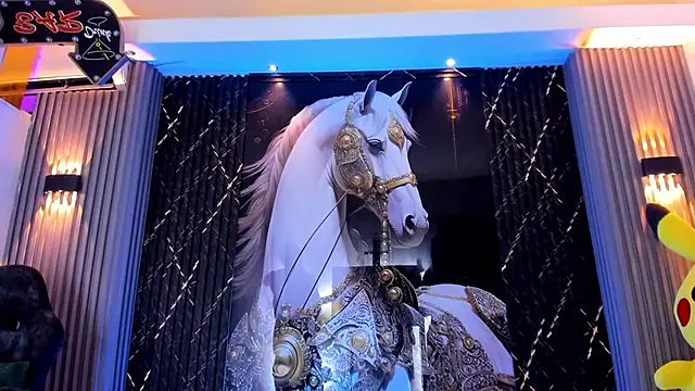 the_knights_of_the_night_ webcam