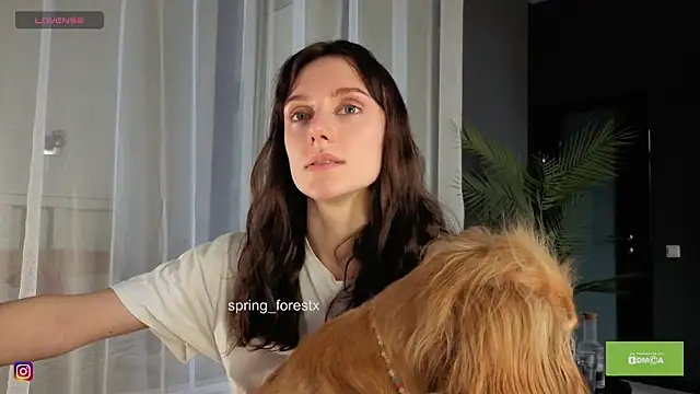 spring_forest webcam