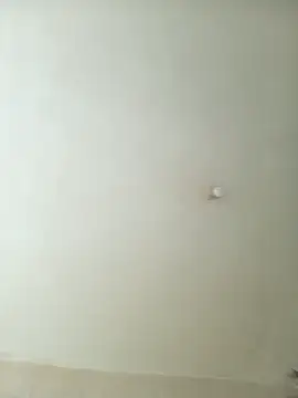 bestofyalcinturkey webcam