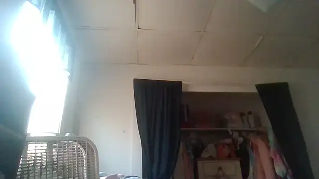 starlight1983 webcam