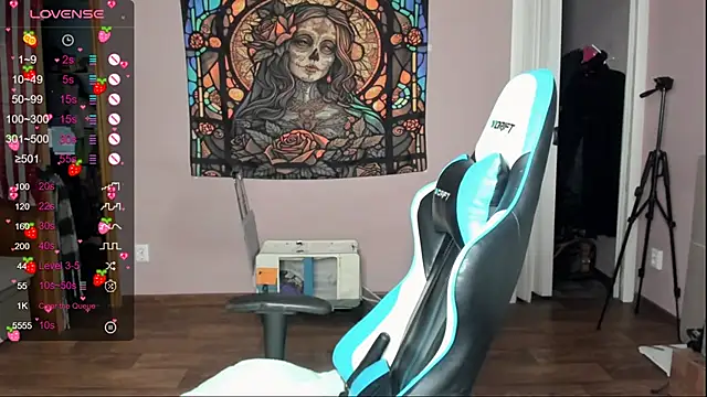 Project_hisoka webcam