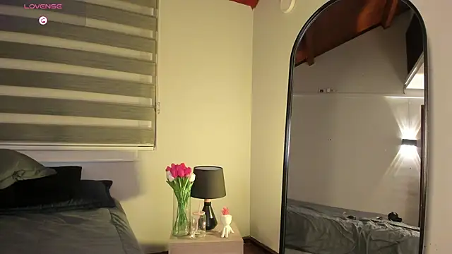 MERIDA_TAYLOR webcam