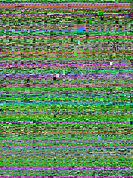 DasmannlicheModel webcam