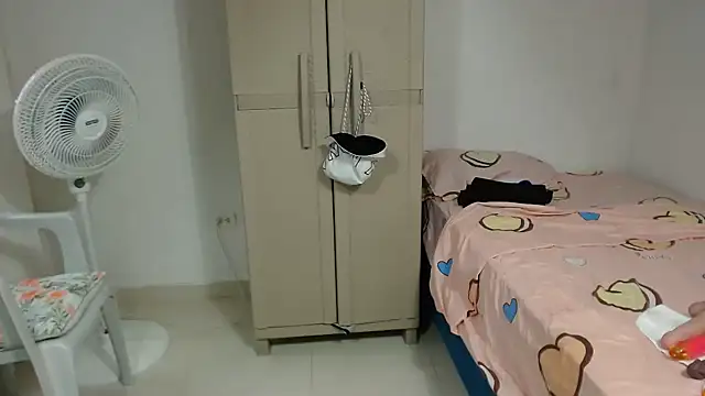 Agatha_browser webcam