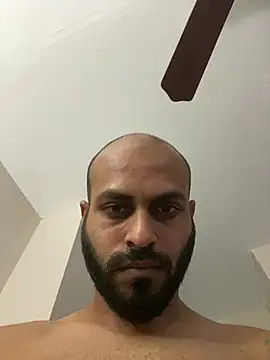 islandvybee55 webcam