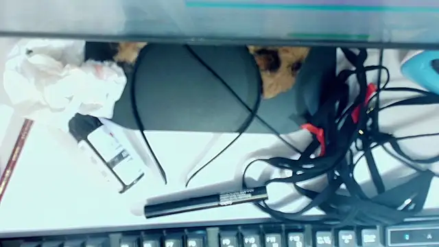 rox_luxury_tf webcam